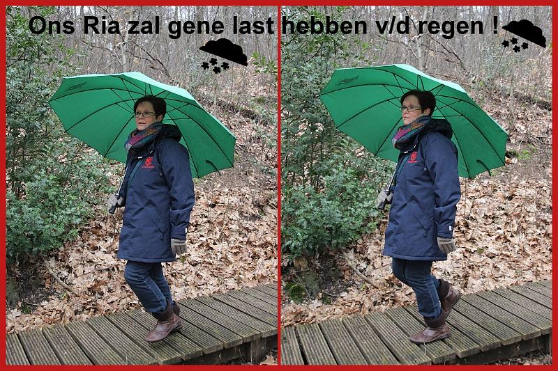 MG Winterwandeling_ (111).jpg